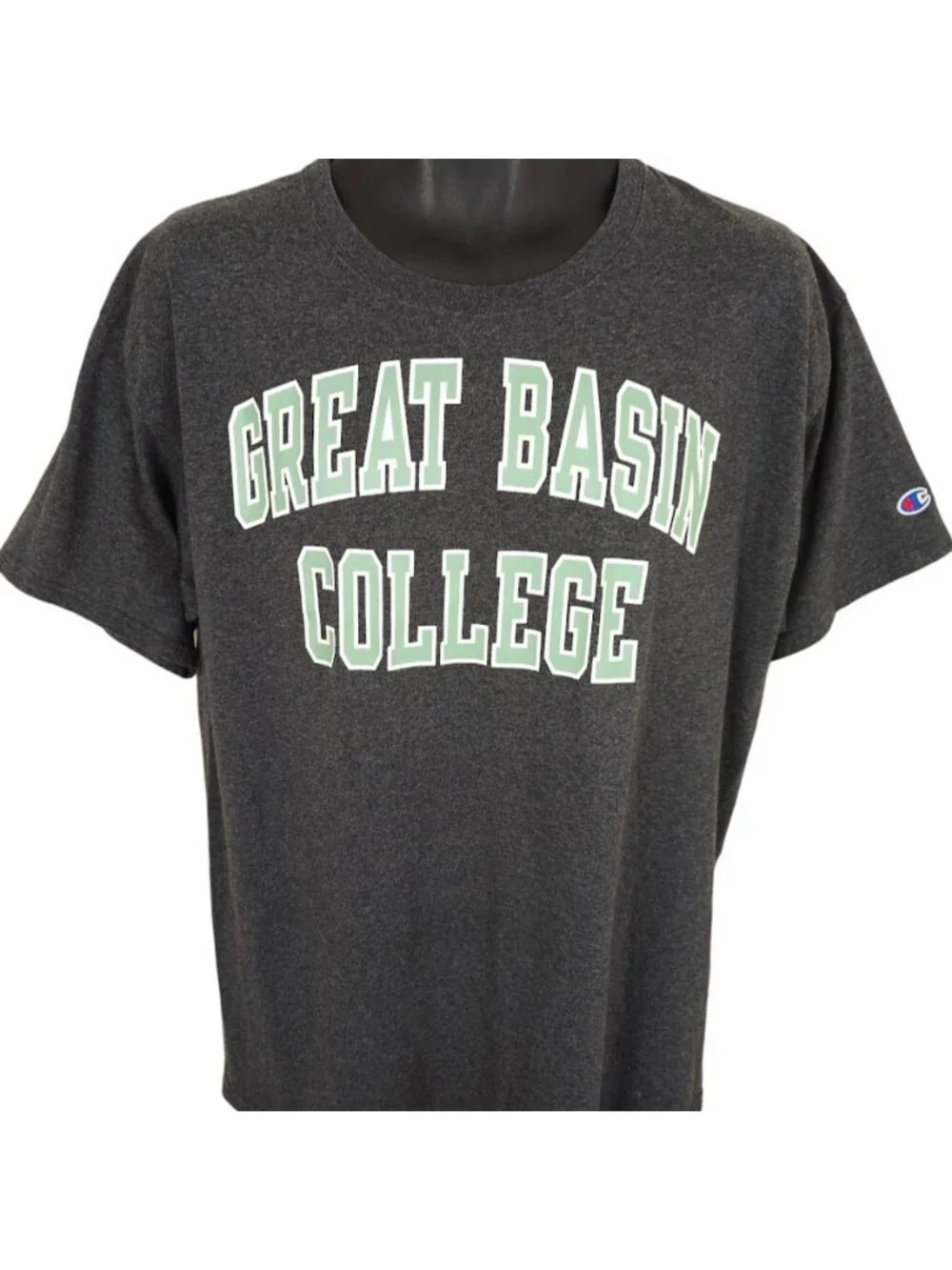 Great Basin College T Shirt Mens Size Large Gray Big Horn Sheep Nevada GBC - Picture 2 of 7